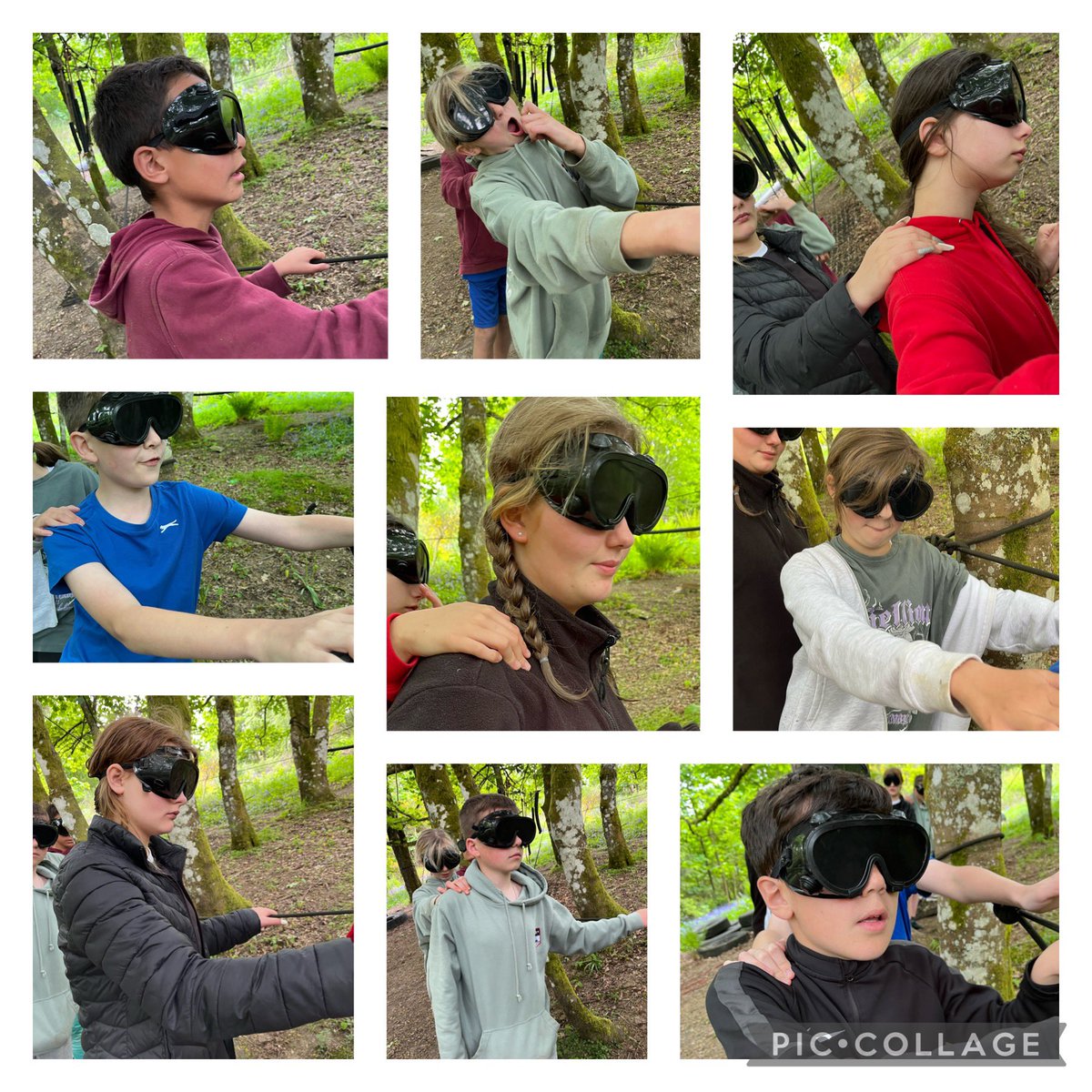 Miss Lynch tweet media