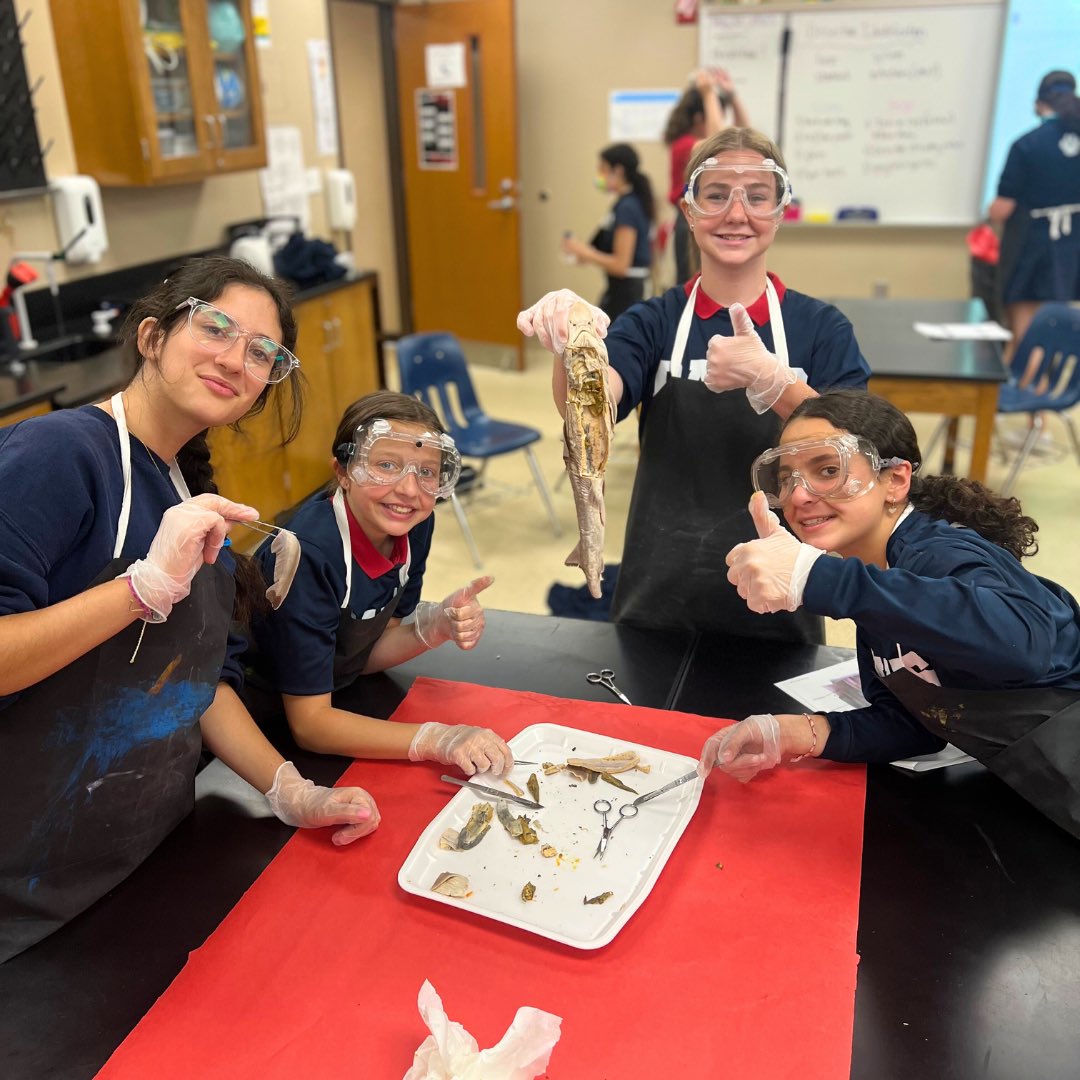 Davis Academy tweet media