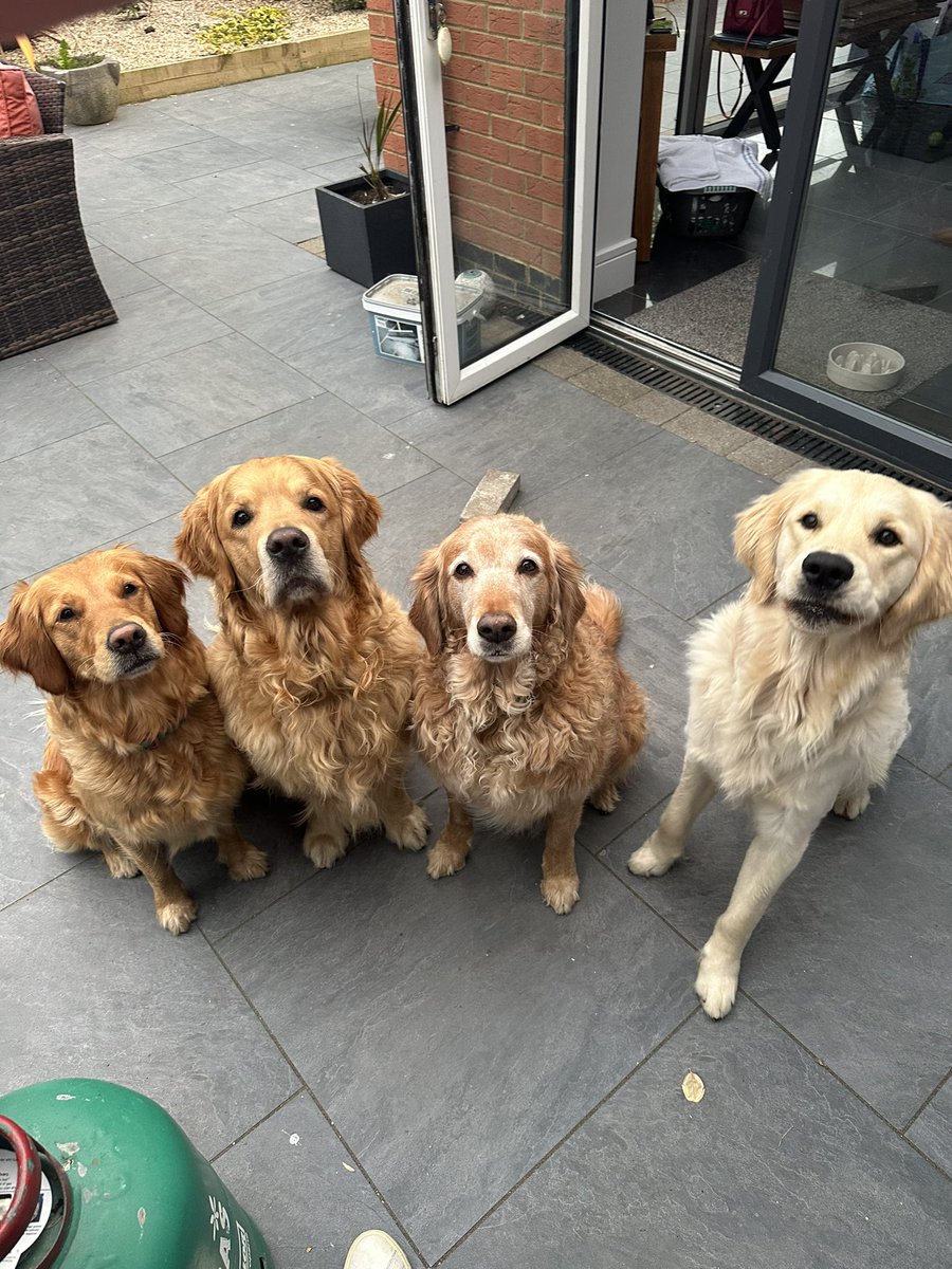 Bank holiday BBQ with boys! Nom nom.. just had over the treats woman!! #butterwouldntmelt