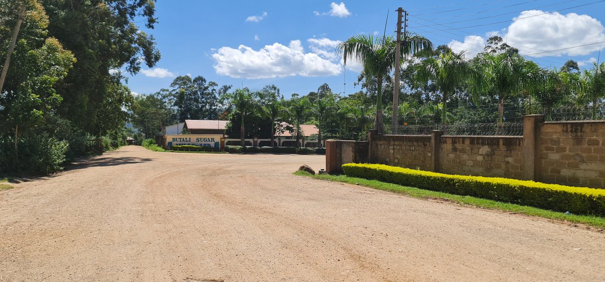 Cathy Cole Ltd tweet media