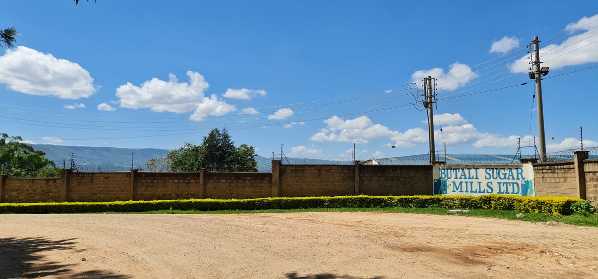 Cathy Cole Ltd tweet media