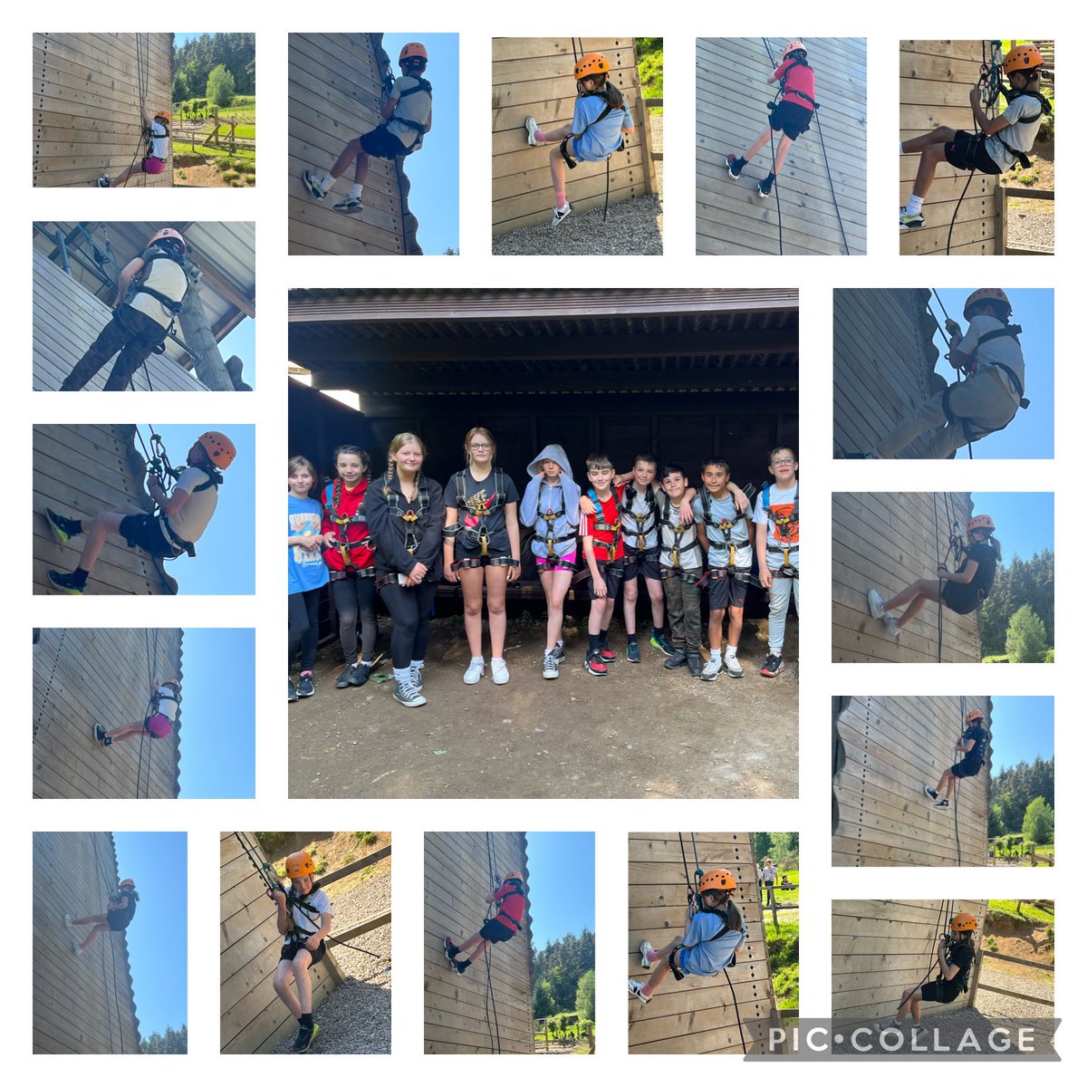 Miss Lynch tweet media