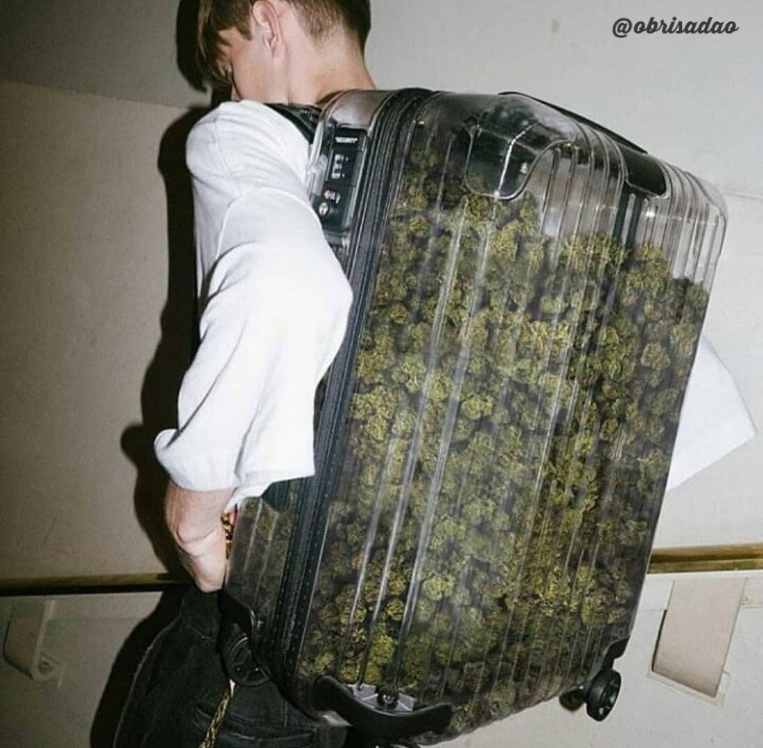 “Vamos viajar, leva só o necessário”

Eu: