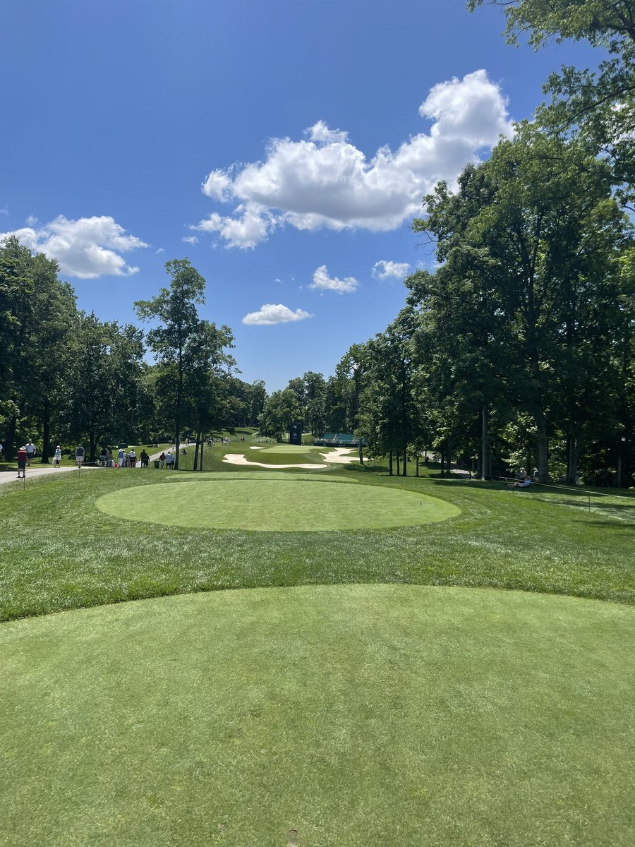 MintCondition tweet media