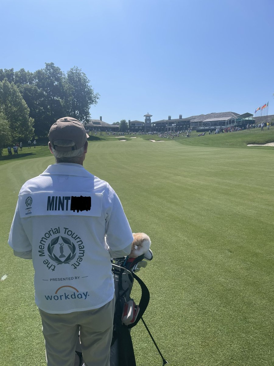 MintCondition tweet media