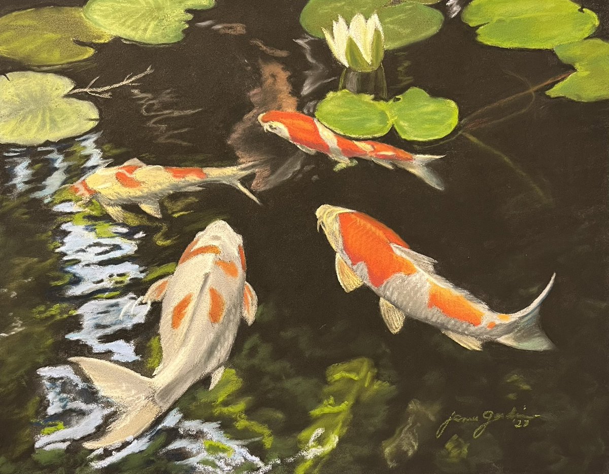 Just finished this portrait of some koi fish. 9x12, soft pastels and pastel pencils on Pastelmat. DM me for a quote if you’re interested in a custom pet or wildlife portrait. To view more of my work:  JanellGardinerArt.com