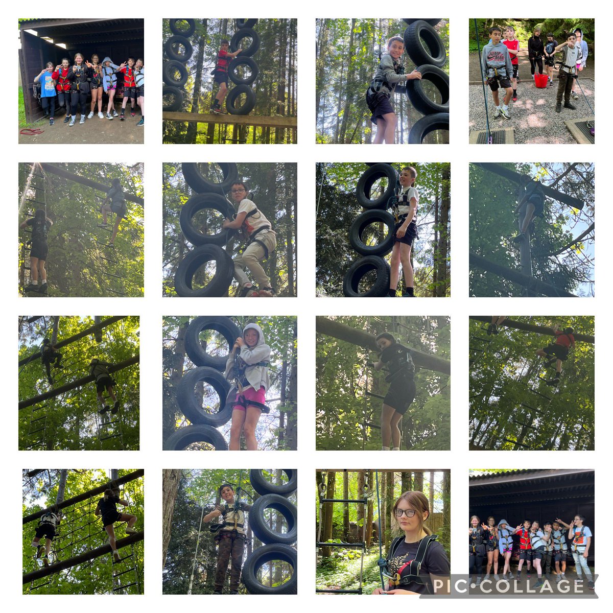 Miss Lynch tweet media