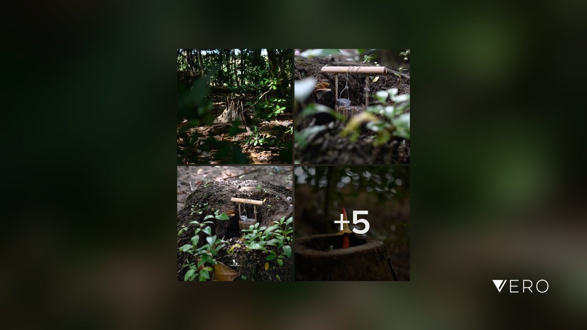 Balade en forêt et minimatures 2022

#Green #Nature #Tranquility #SelectiveFocus vero.co/liavisyon/xk-R…