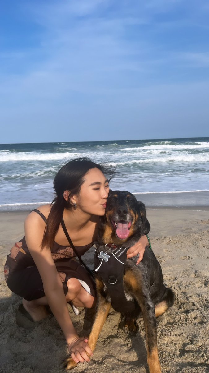 liubeaux's tweet photo. life is lifin’ rn https://t.co/N3ZssCMqy3