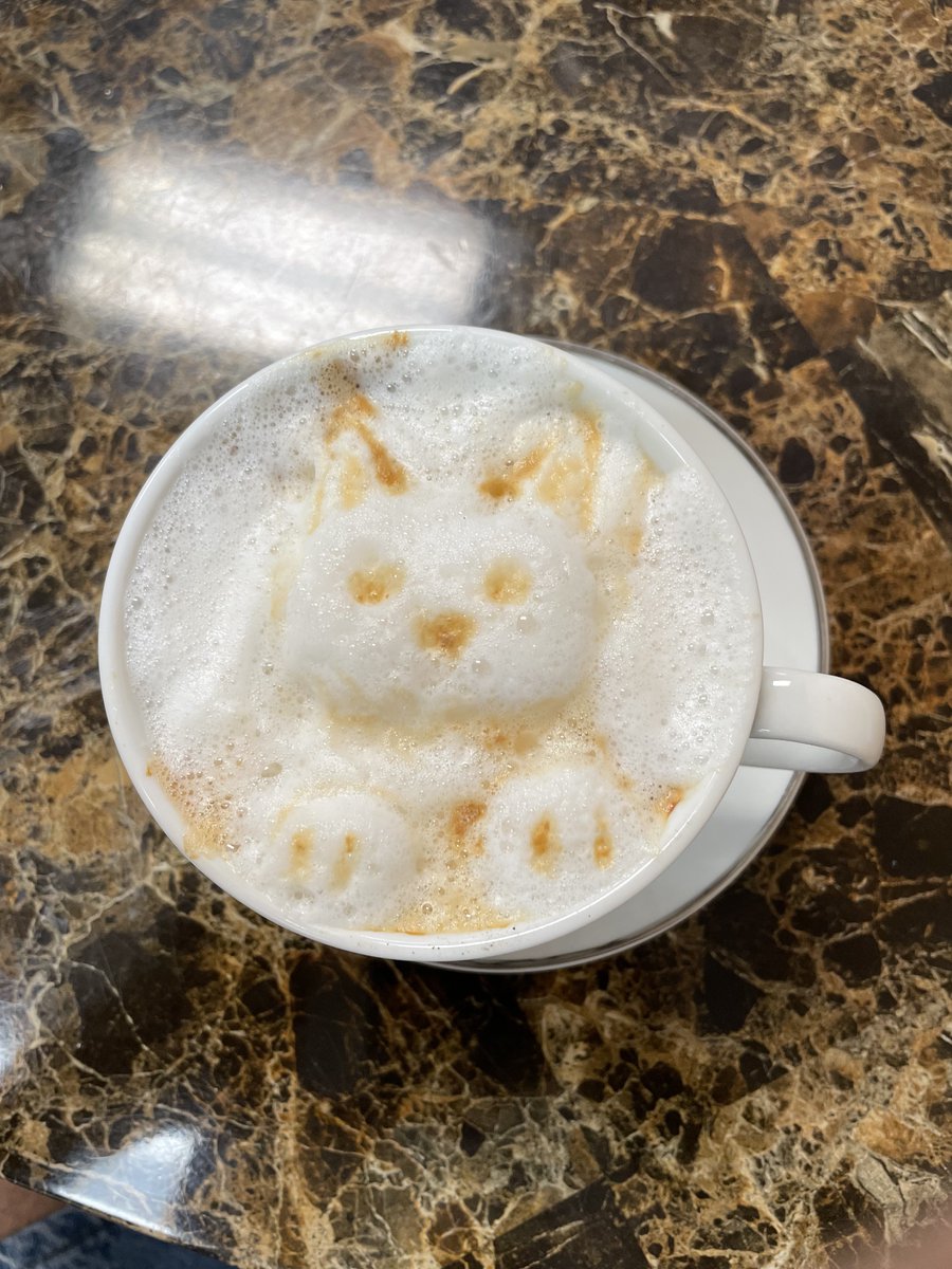 I had a catpuccino at Cup of Love Cafe in Oviedo today.