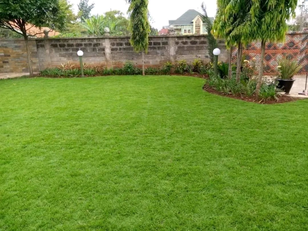 Quality is not an act, It is an habit!!
Get quality plants &amp; professional landscaping services from <a href="/Landscape_Kenya/">Landscapers Kenya</a> 🌹🌲 🌴
We are just a call away
0729229923

Mzee Aoko boutross Eastleigh Osiany Igathe NHIF Kenyatta University Gaucho Sudi Seth Panyako HIV AIDS Vera Sidika Raila