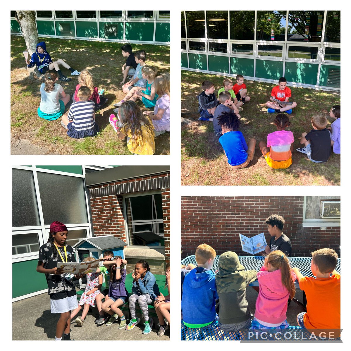 Mrs. BellicoQMS tweet media