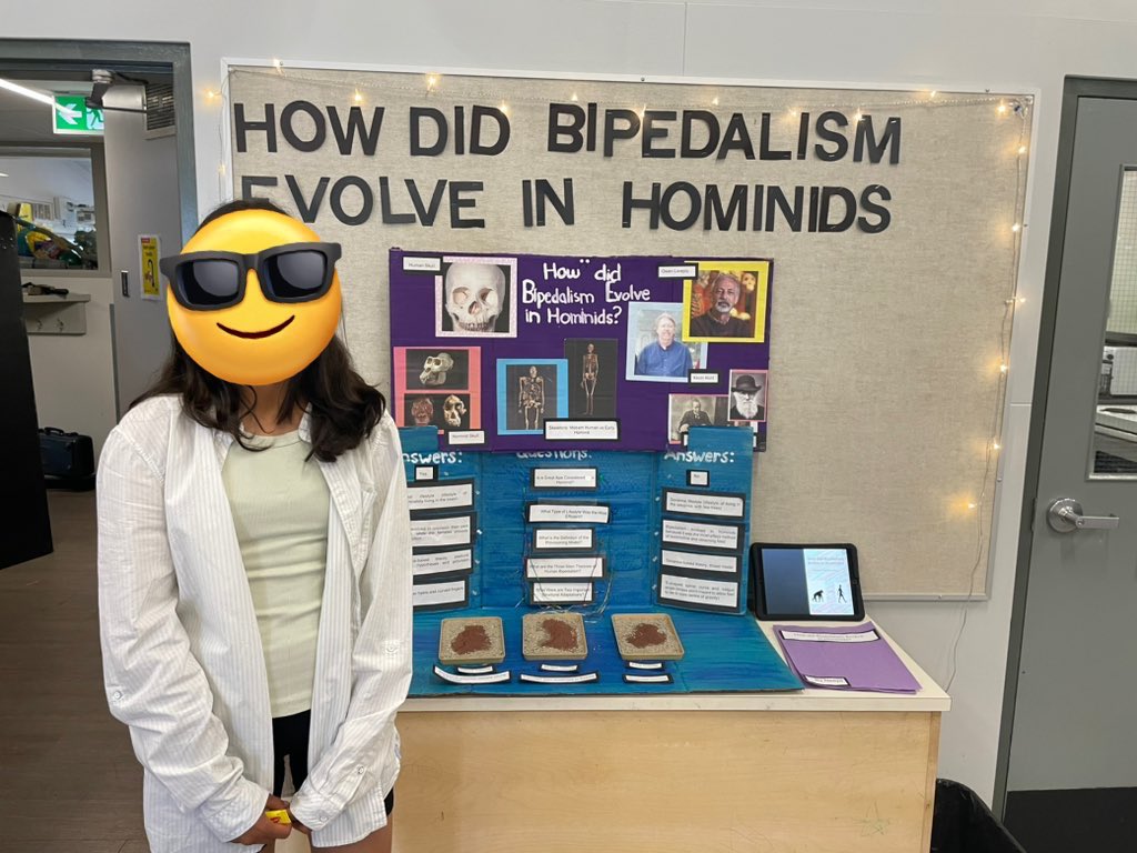 Maple Lane Lightning tweet media