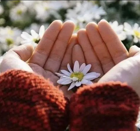 ♕تاج أخلاقي♕ tweet media