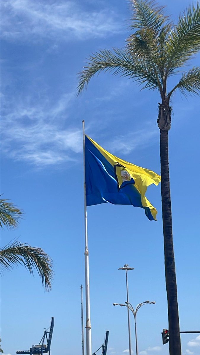 Alberto (@lilabet0) on Twitter photo 