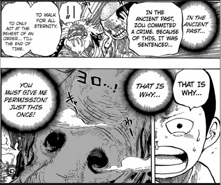 oscar_sev's tweet photo. Zunesha = Lily ????? What if she never came back to Arabasta because she was punished for betraying Joy Boy #ONEPIECE1085 https://t.co/DN36Uv5v2F