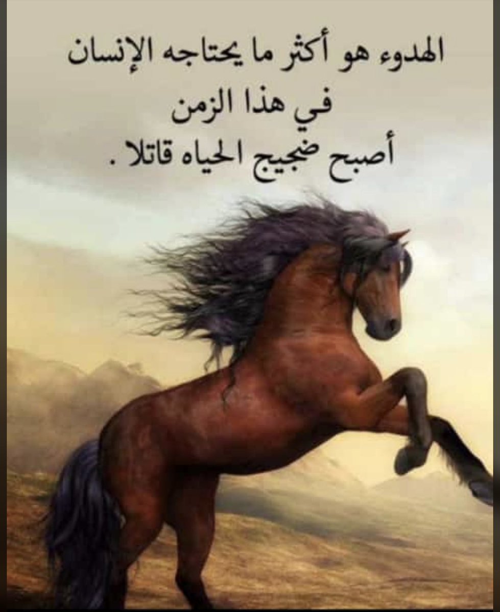 Ibrahim Salim Al Junaibi (@ibaljunaibi) on Twitter photo 