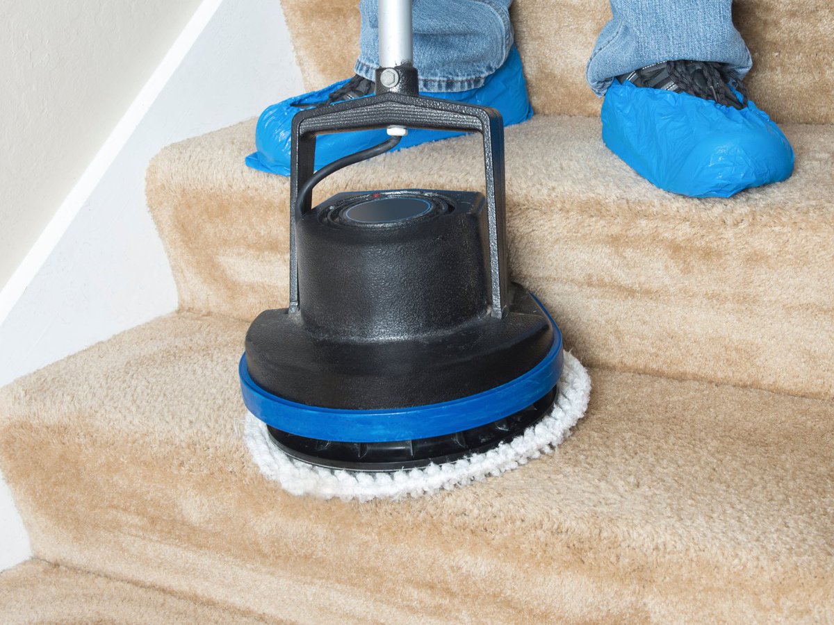 Say goodbye to dirt and grime on your beloved staircase with our professional carpet cleaning service! Let us tackle those stubborn stains and deeply embedded dirt. 💪🧼

💻 blueteamhomeservices.com

#CarpetCleaning #StaircaseCleaning #Cleaning #CleaningService