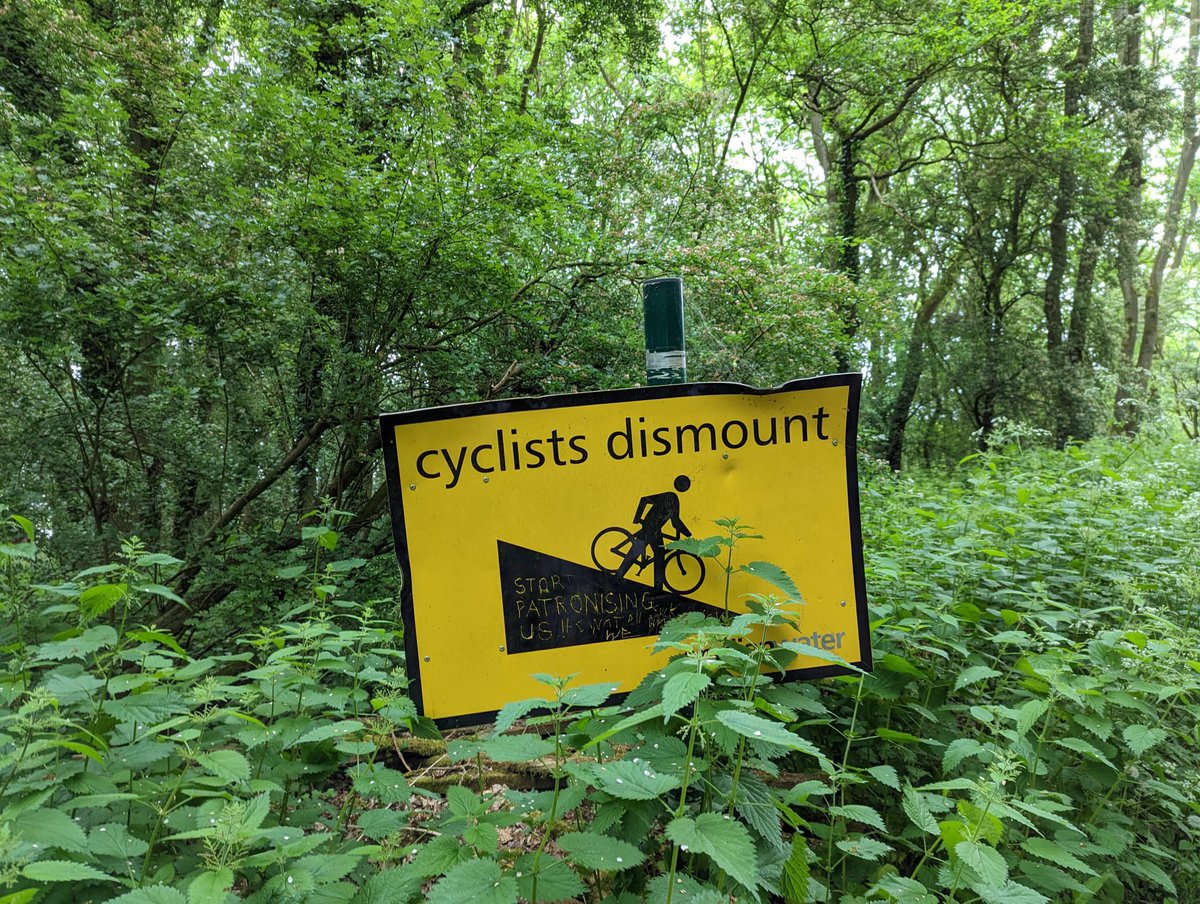 Dr Tiffany Harte tweet media