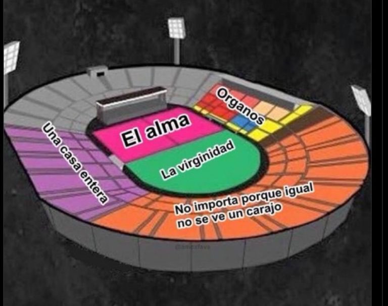 Lo que se nesecita para ir a ver a Taylor Swift en the eras tour