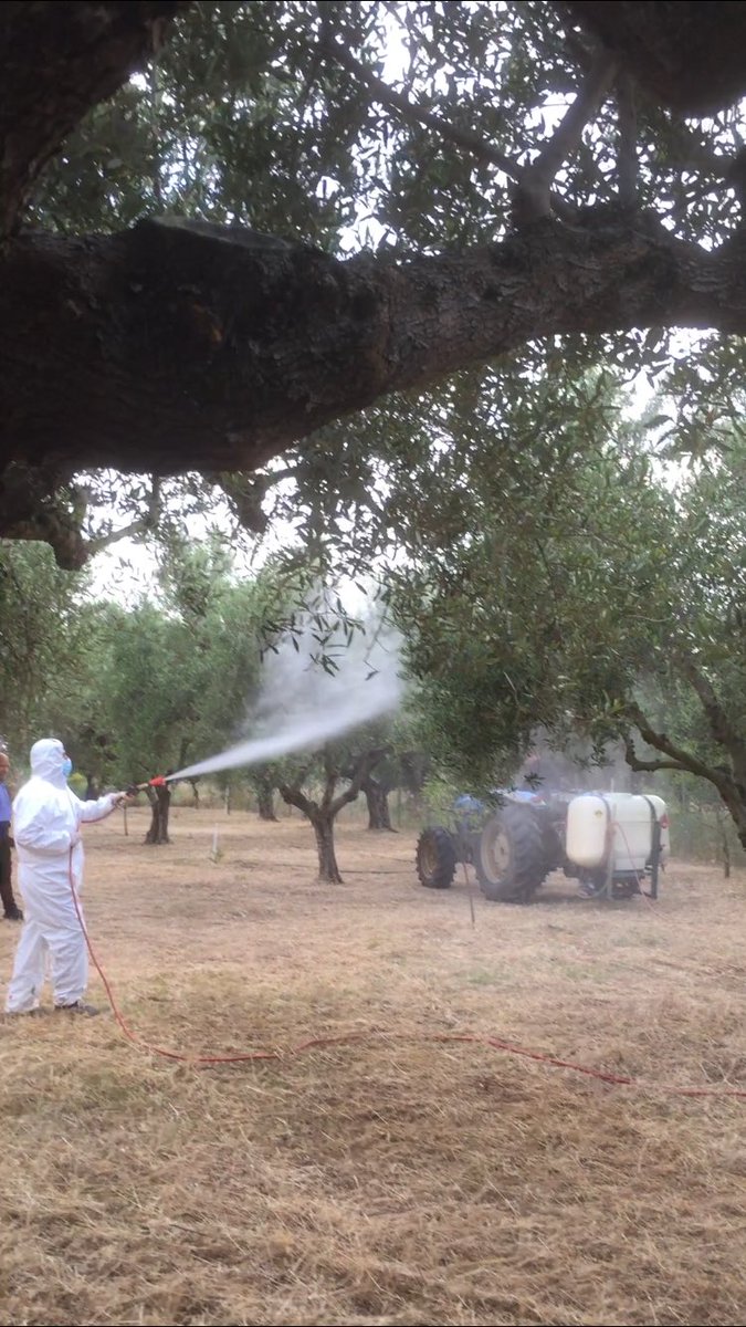 Να ποστάρω και γω ένα ψεκοτουί, επίδειξη ψεκασμού με άνυδρο καολίνη. 👇😇