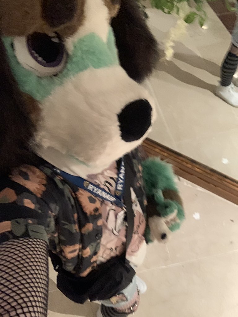 I’ve arrived home in Ireland after CFZ, and the PCD is in full swing 🥲

I had so much fun this year, despite some very rough bumps, but I did my best not to let them take away from the con. I met so many cool new friends and I cannot wait for CFZ2024!

Next up, Scotiacon! 🏴󠁧󠁢󠁳󠁣󠁴󠁿