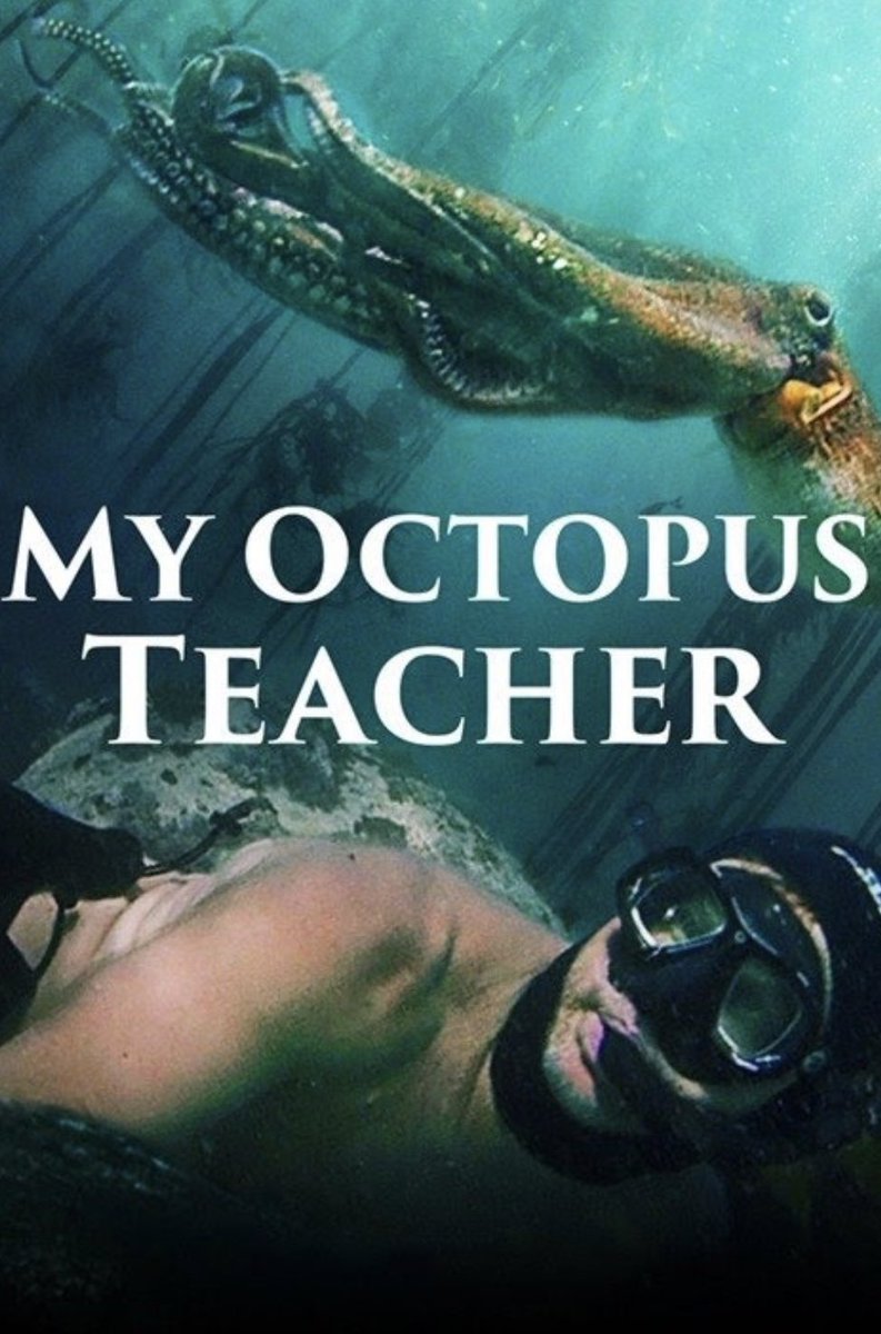 bucksortn's tweet photo. Today was our classroom superlative awards ceremony! Students voted for classmates to receive these awards &amp; it amazed me how spot on their votes were! I also mesmerized them with the documentary #MyOctopusTeacher Such an extraordinary movie! @LindenLion #FinishLineisinSight https://t.co/Kg7eiuGghw