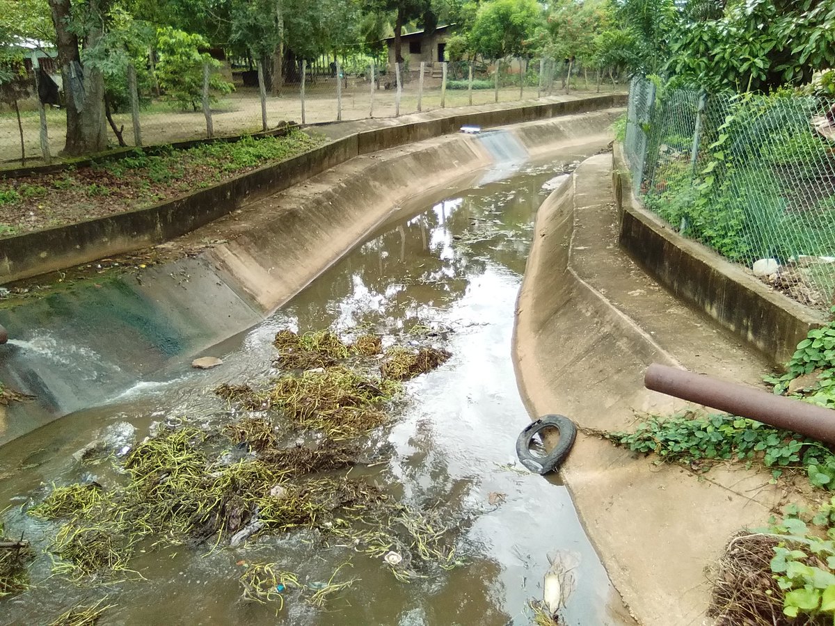 Gobierno del municipio Juan José Rondón, sigue trabajando para prevenir posibles eventualidades ocasionadas por las lluvias.
#ElSurRenace 
#TrabajandoPorRondón 
#GuáricoEnProgresoDeportivo