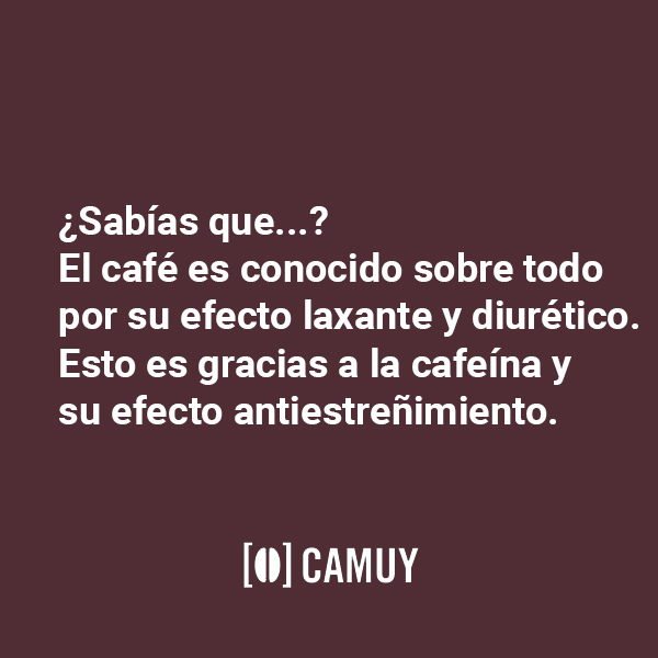 Cafés Camuy (@cafescamuy) on Twitter photo 