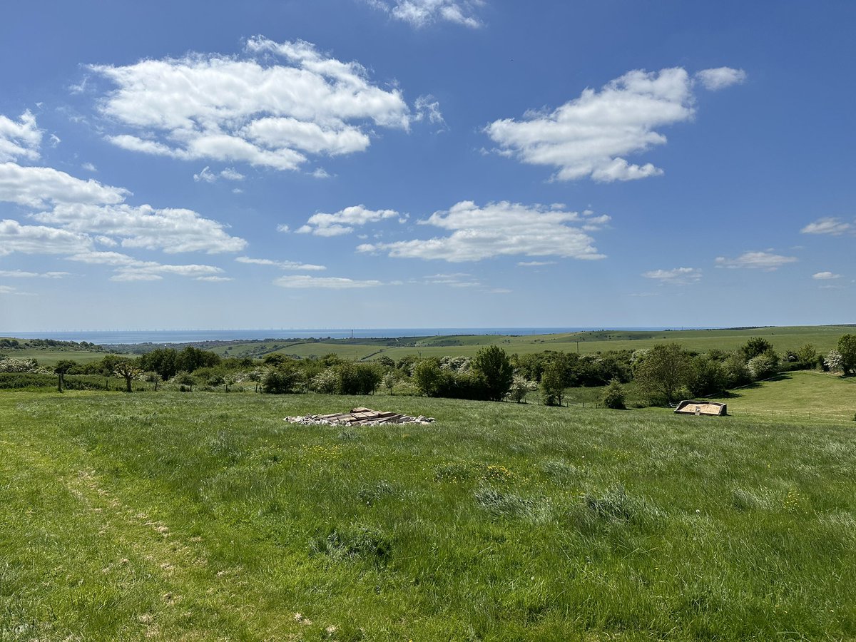 Robert Nemeth tweet media