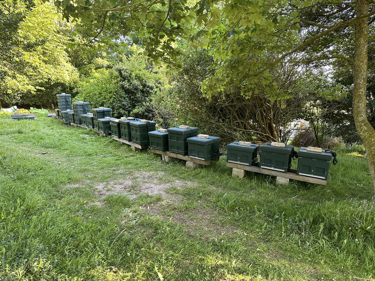 Robert Nemeth tweet media