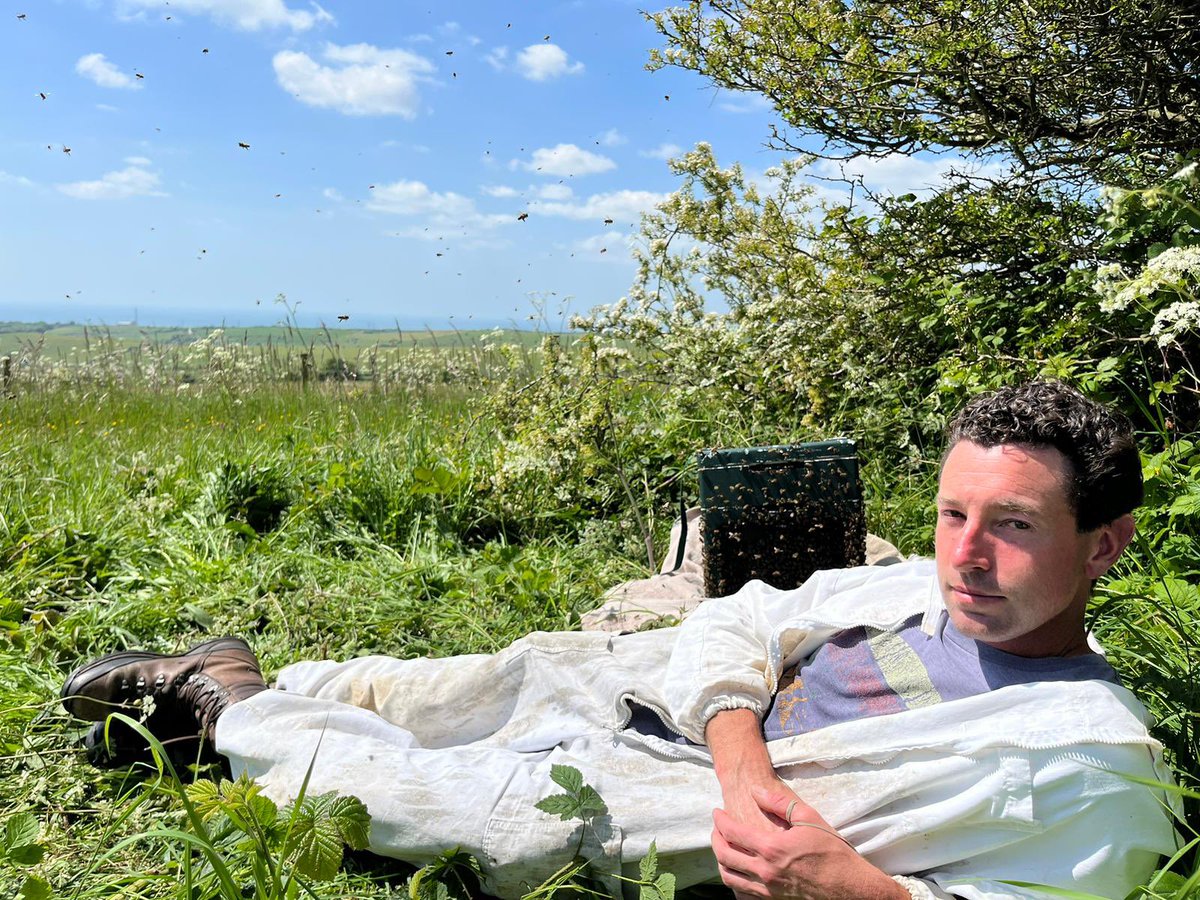 Robert Nemeth tweet media