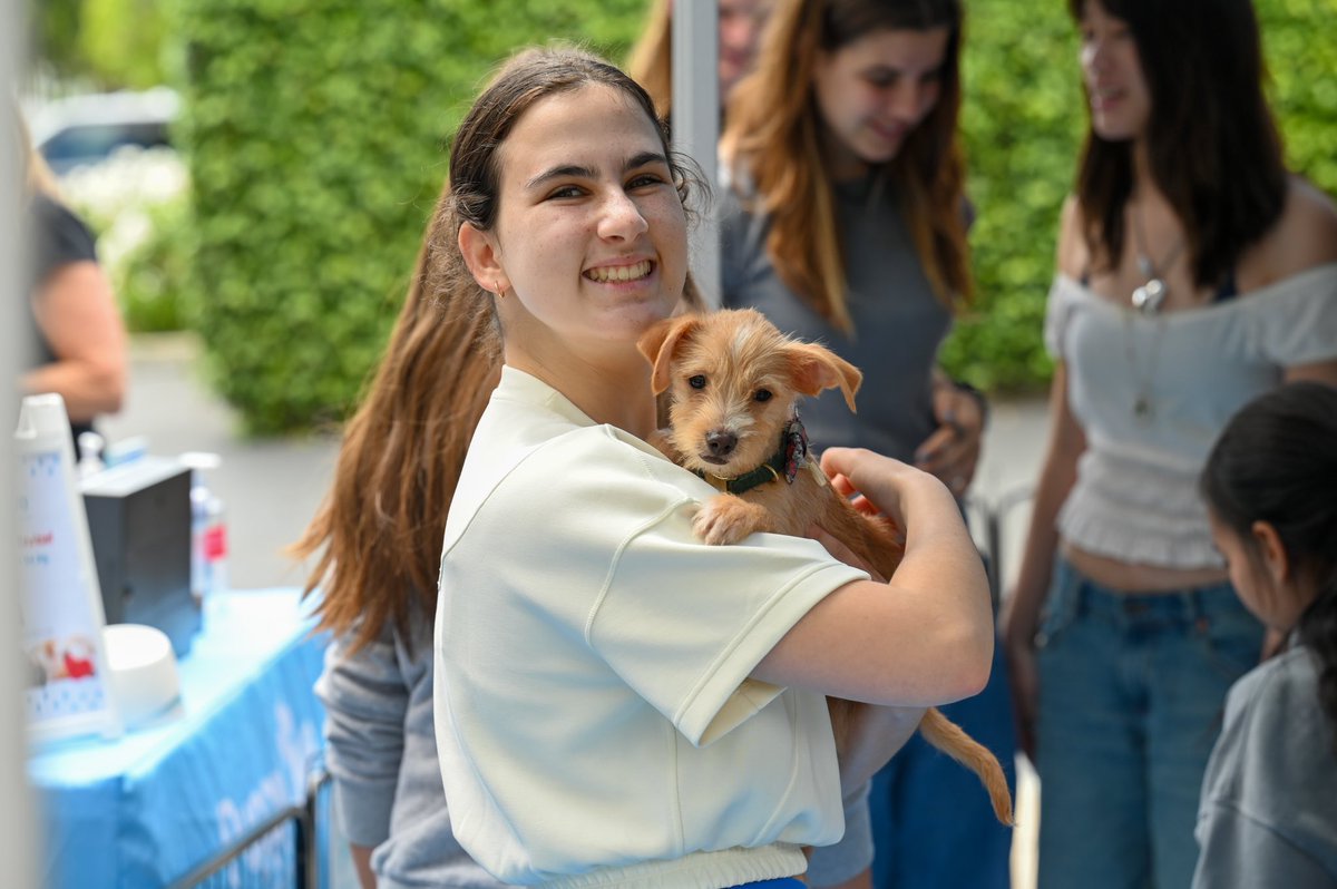 WindwardSchool tweet media