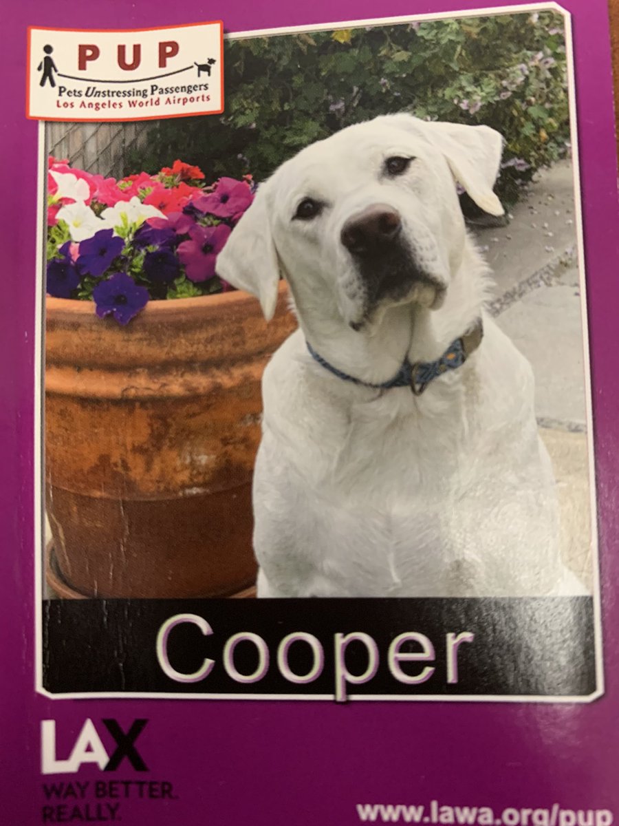 Going through a few business cards today from #asgct23 

Cooper’s definitely wins in the cuteness department! 

LAX airport has dogs to pet at the gate as part of “Pets Unstressing Passengers” 

🐾🦴🦮

lawa.org/pup