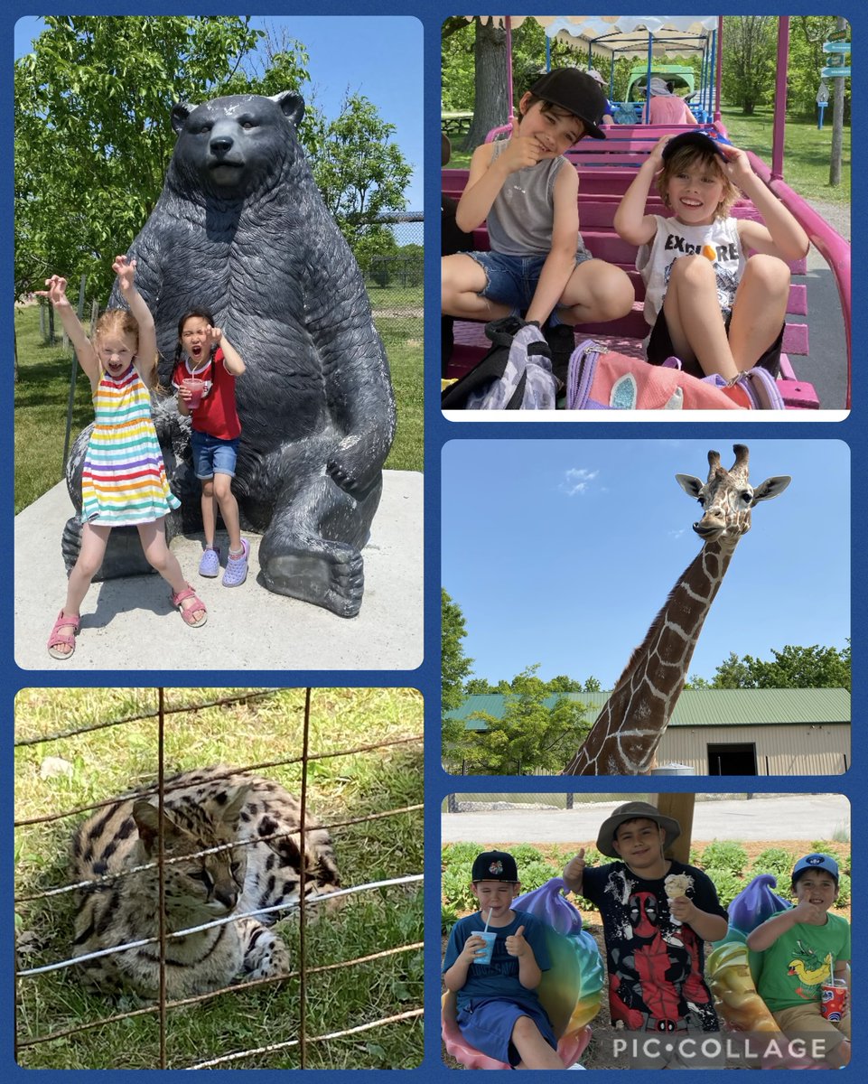 Kristen Bombay (@kristenbombay) on Twitter photo Lots of animal fun at Safari Niagara on our Gr. 2 class trip! 🐍🐒🦁 It was a hot one but nothing a little ice cream or slushy couldn’t fix!!! 💕🍧<a href="/htubman2015/">✨Harriet Tubman PS✨</a> Lots of animal fun at Safari Niagara on our Gr. 2 class trip! 🐍🐒🦁 It was a hot one but nothing a little ice cream or slushy couldn’t fix!!! 💕🍧<a href="/htubman2015/">✨Harriet Tubman PS✨</a>