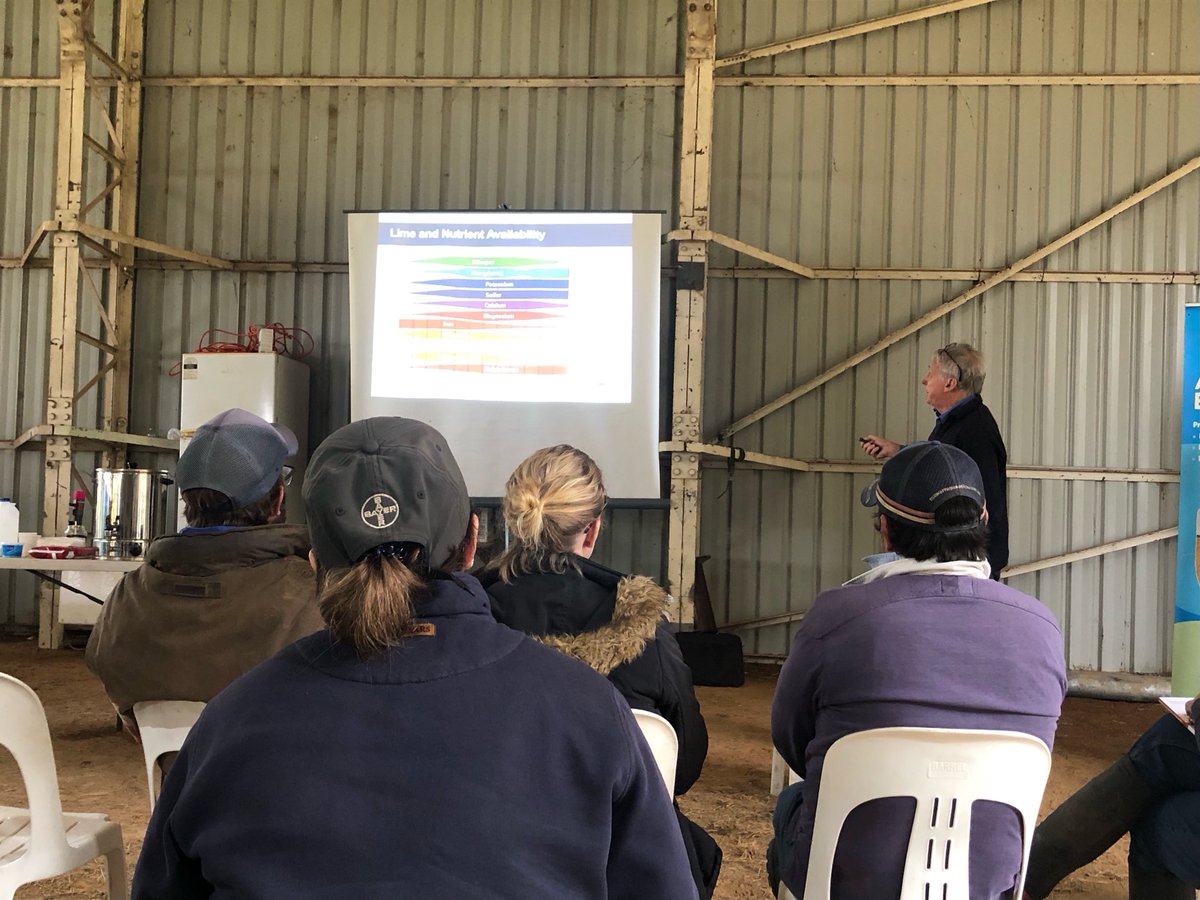 Jim Shovelton ran a pastures day yesterday at Rennylea Culcairn ⁦@Meridian_Ag⁩ ⁦@edwina_hayes⁩ ⁦@LambproHolbrook⁩ #holbrooklandcare ⁦@kyliedurant⁩ ⁦@Murray_LLS⁩ one of the best in the #grazingbuainess