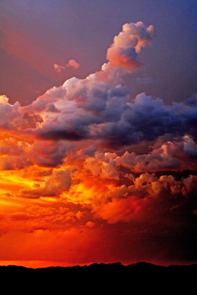 a murder takes flight
storm clouds devour languid skies
while seraphim’s weep

#haikuhorrorprompt #languid 625 #WritingCommunity #haiku #vsshorror #poetry #photography #sunset
