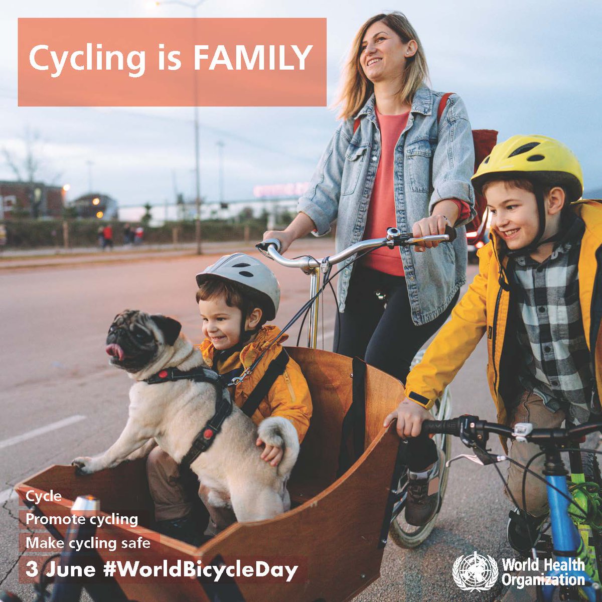 Saturday June 3 is #WorldBicycleDay.  Celebrate with the United Nations, the World Health Organization and the rest of the world by riding your bike! @PasadenaCaD2 @PasadenaD7