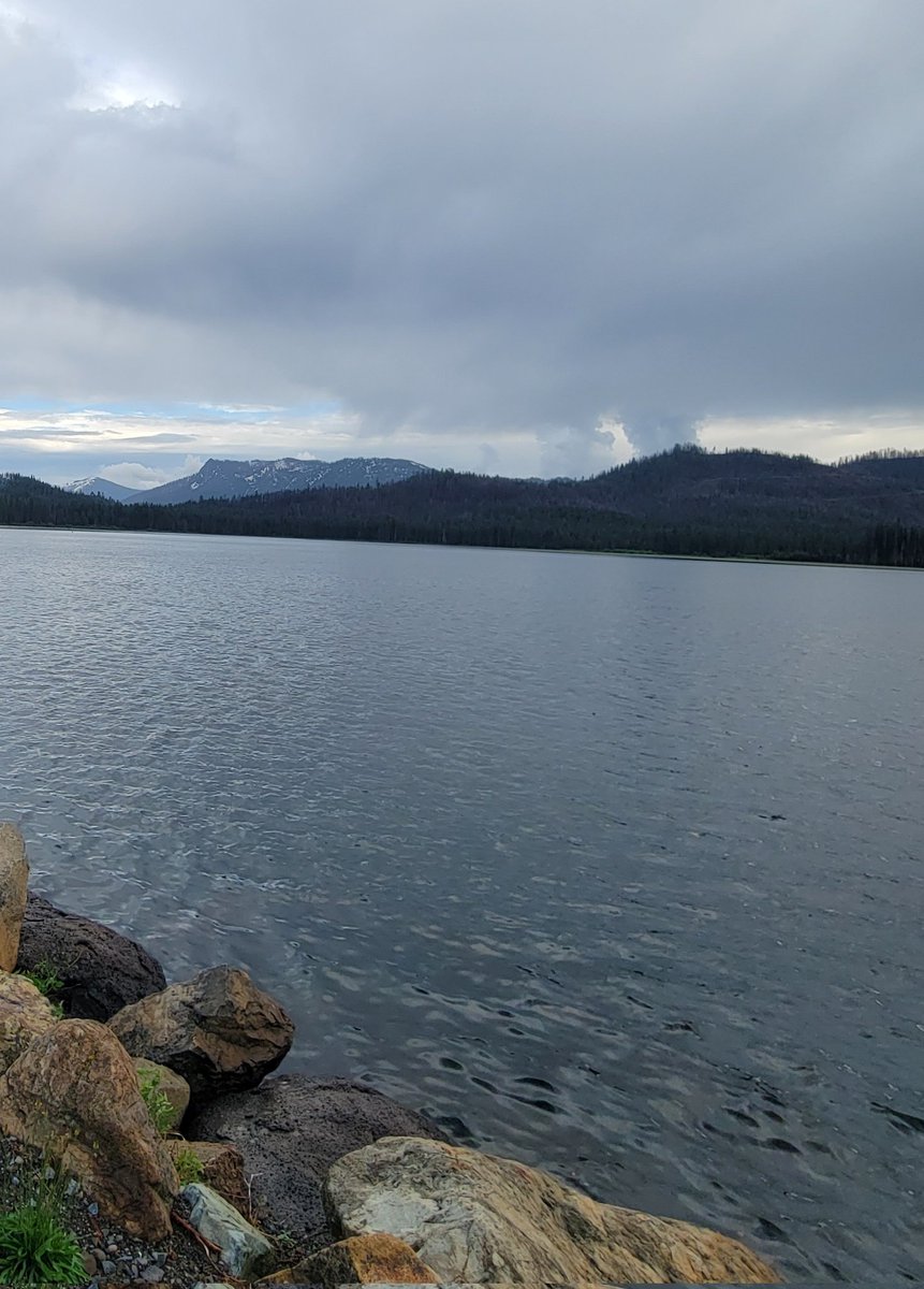 Trying and failing are not the same.