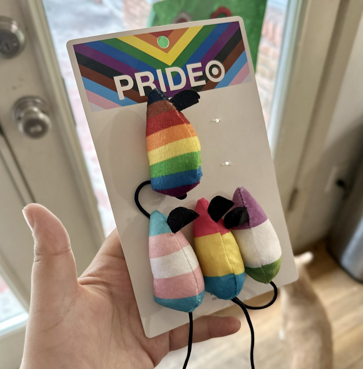 hannsimp's tweet photo. PSA @Target is grooming animals now too!

Got sus’ when they asked Mittens to pick a polish color after the claw clip.

#BoycottTarget #priDEMONth #GoWokeGoBroke https://t.co/6TMWAQ8isy