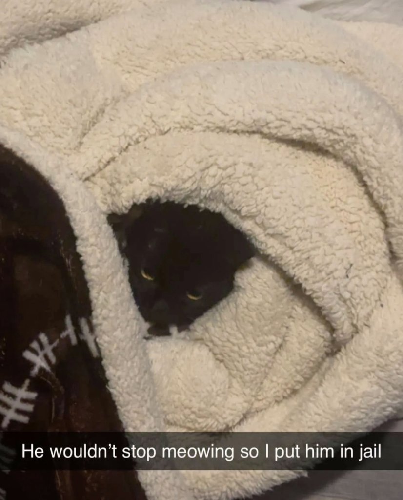 HipThrustKing's tweet photo. @MoistCr1TiKaL Imprisoned https://t.co/u6fejgOU6f