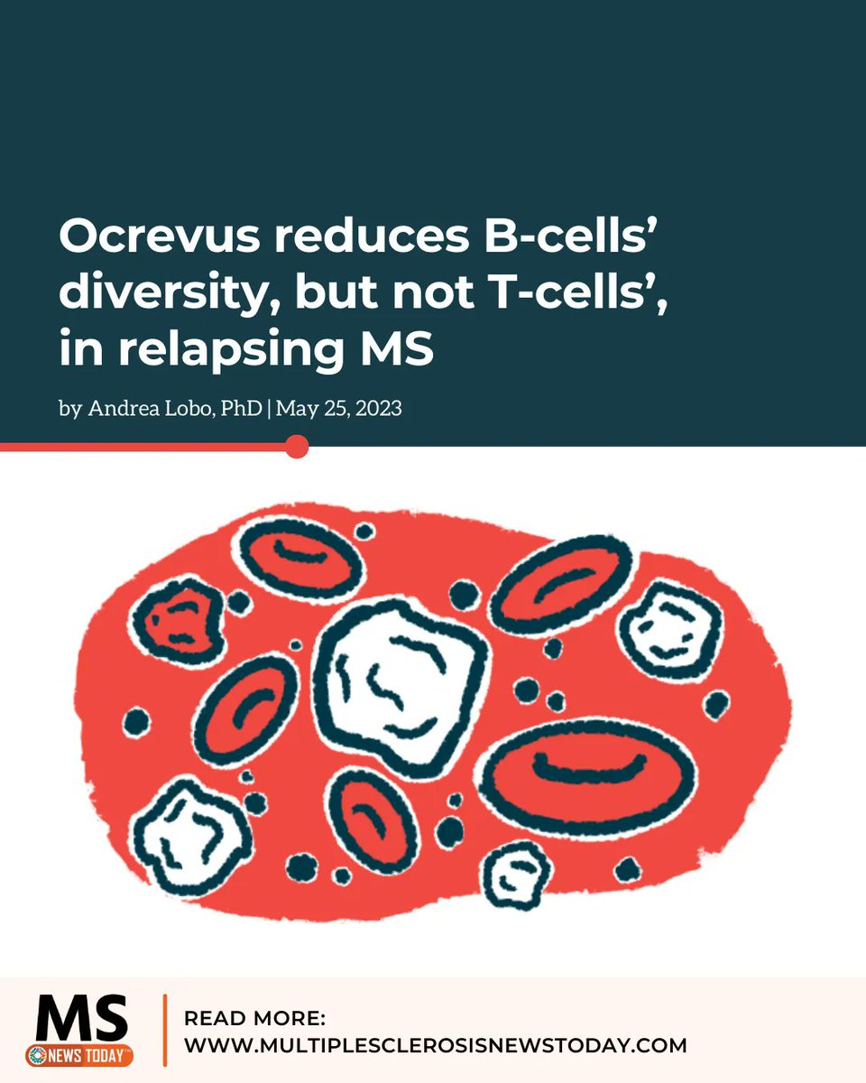 MSNewsToday's tweet photo. Long-term use of Ocrevus preserves T-cell diversity in relapsing MS patients while reducing B-cell diversity, a small study found. https://t.co/kLuftpUpib

#multiplesclerosis #msnews #msawareness #mscommunity https://t.co/F5bxbN2auV