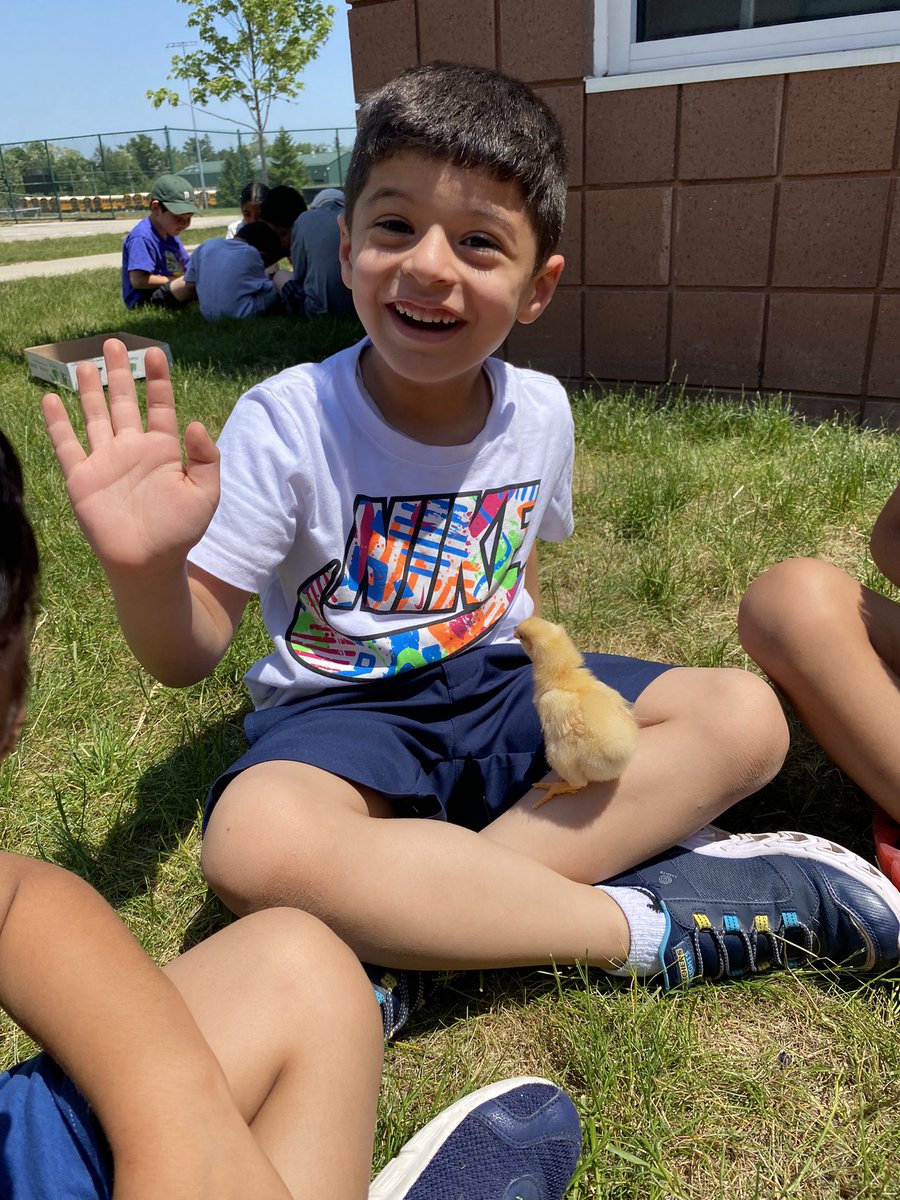 Olivia Oquist tweet media