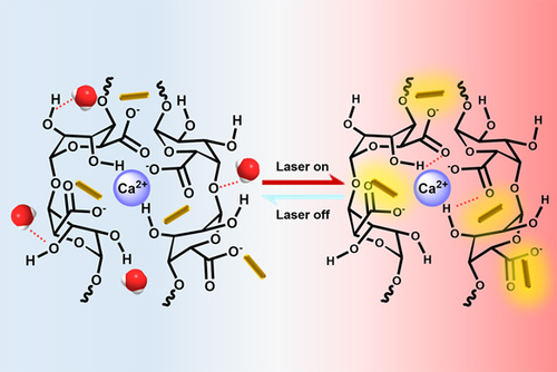 CCSChemistry's tweet photo. Contribution of Hydrogen-Bond Nanoarchitectonics to Switchable Photothermal-Mechanical Properties of Bioinorganic Fibers https://t.co/eci94RQddW 

#chemistry #openaccess #science #chemtwitter https://t.co/QsH6oQ5Aar