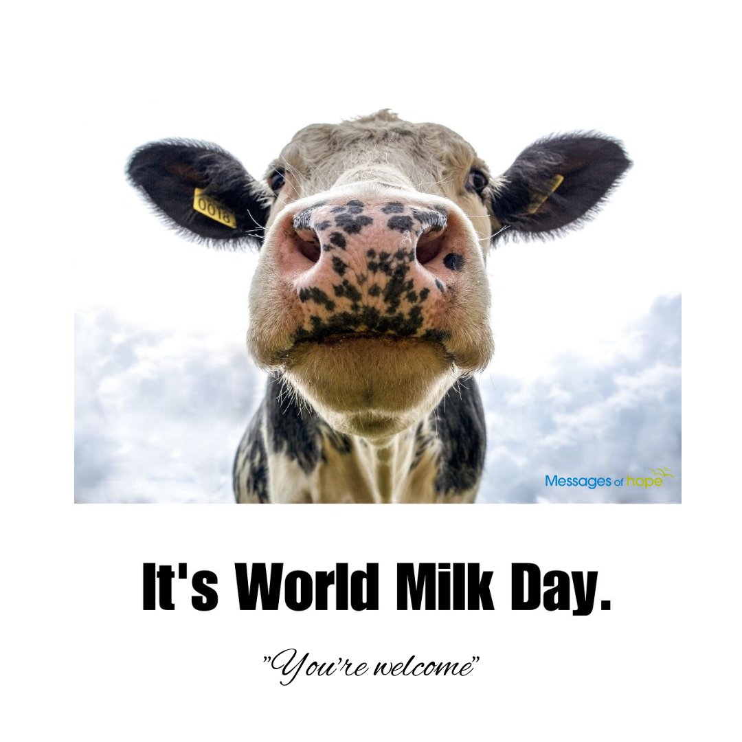 #WorldMilkDay #milk #messagesofhope