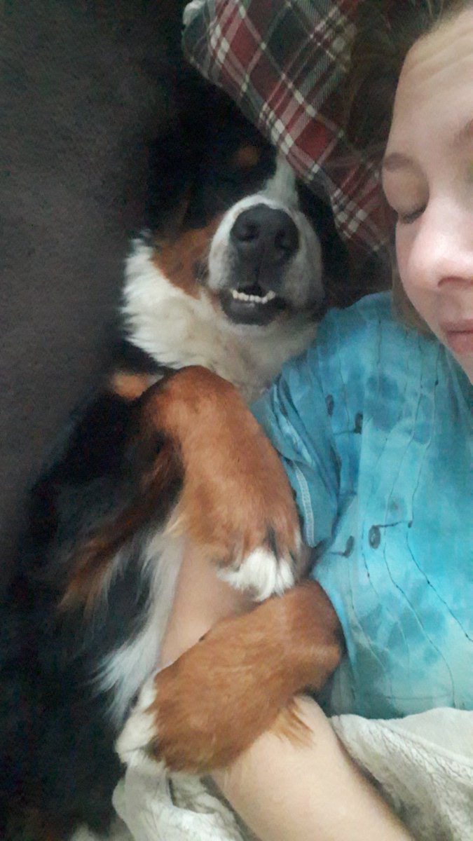 pumpidooo's tweet photo. @Gabuxya Může jen když se zeptá (dá hlavu k posteli a koukne na mě) a já povolim ("můžeš hop") 😁😊. https://t.co/4Nl7jwLk4c