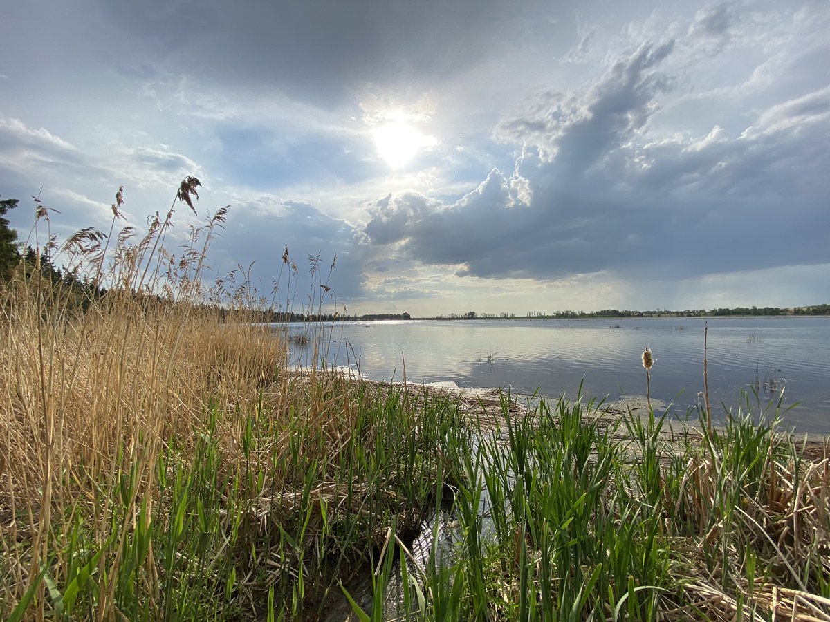 Sometimes you stop seeding for an unsolicited break, and it happens to be stunning #plant23 #Saskatchewan #canwood
