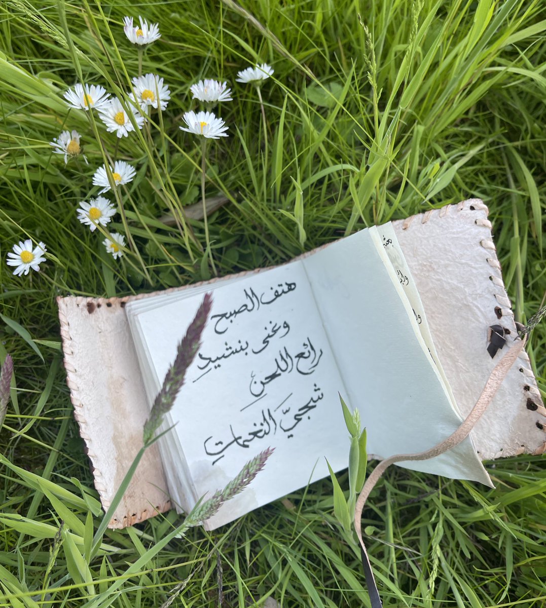 MobarakBalkhir's tweet photo. https://t.co/1V1Qe6uf31