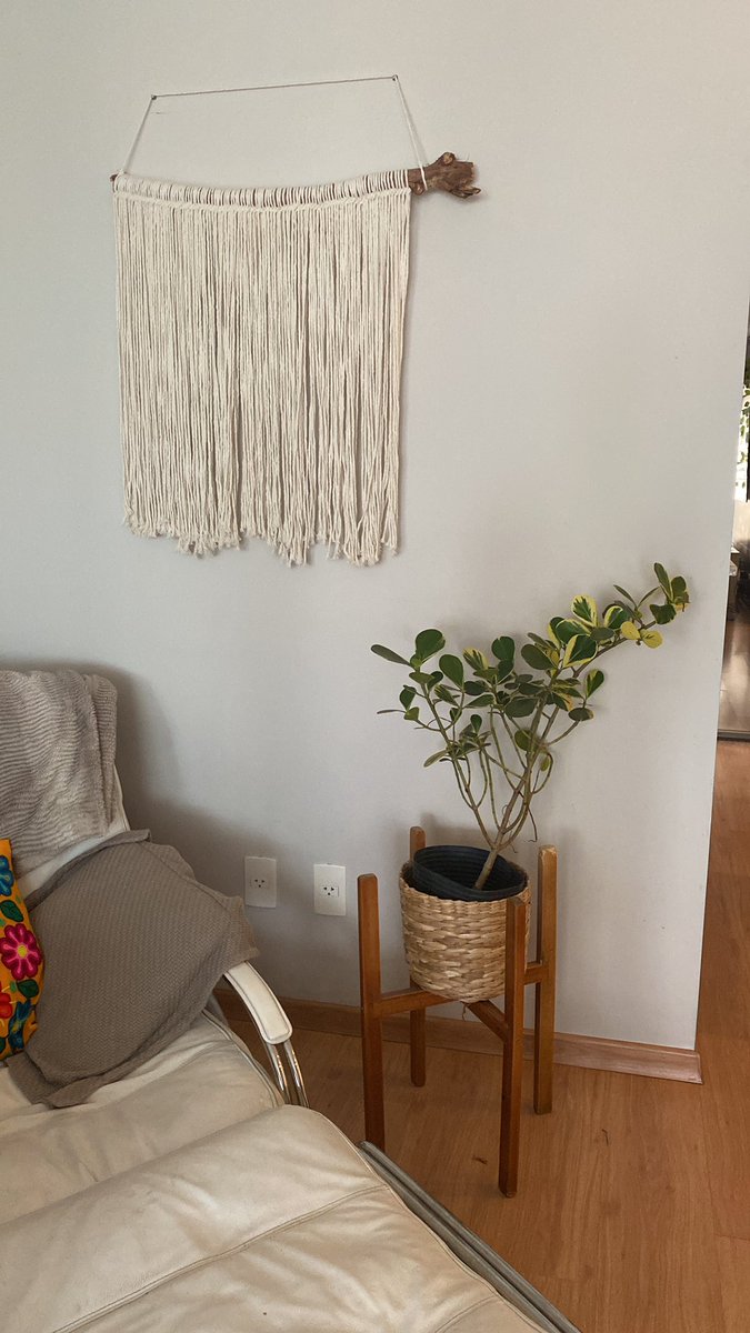 Mas essa verdinha eu TROUXE! E ficou linda na minha casa… qual nome eu deveria dar pra ela ?