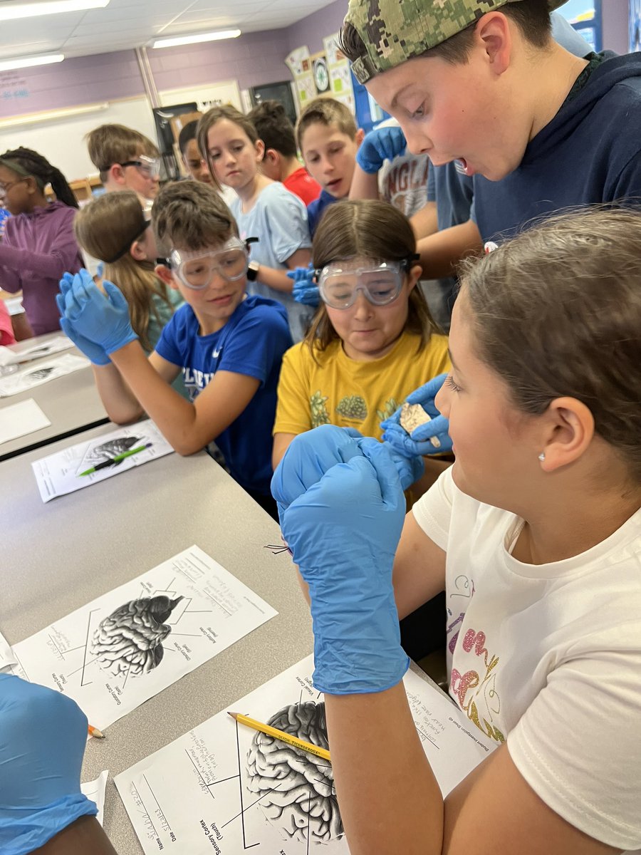 Mrs. Fannon🍎 tweet media